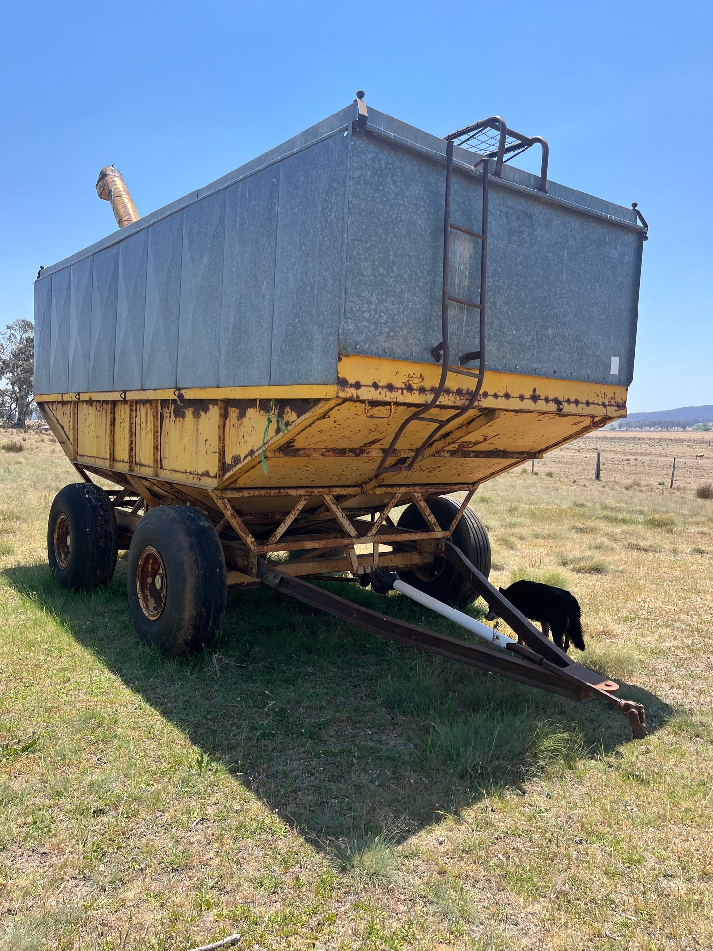 15t Field Bin