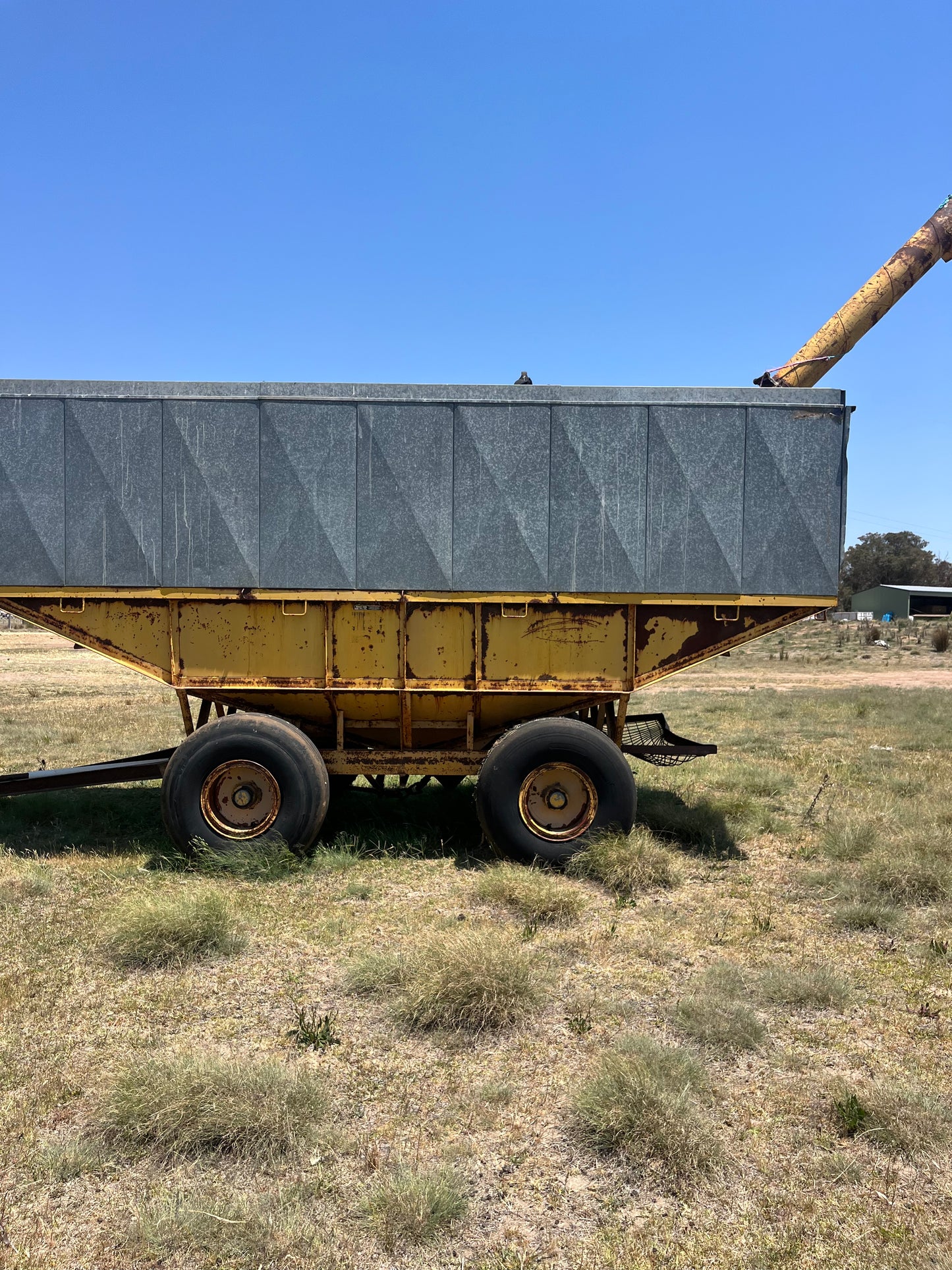 15t Field Bin