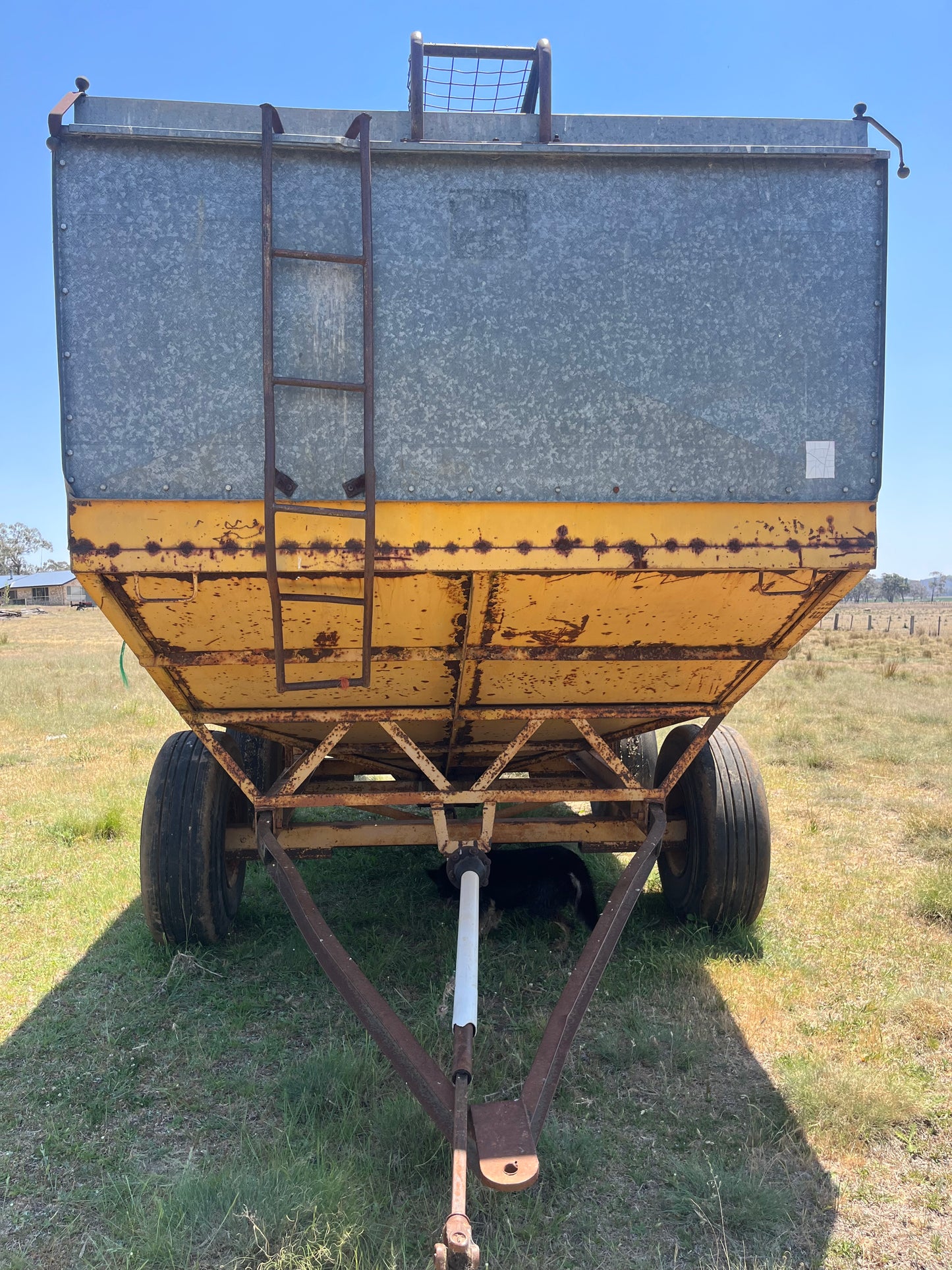 15t Field Bin